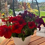 Villa Emiliadourohouse Marco de Canavezes