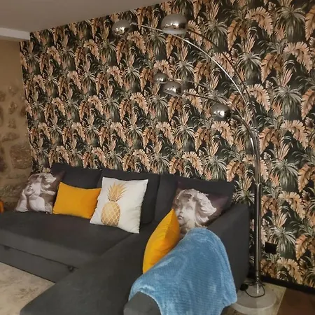 Emiliadourohouse Villa *