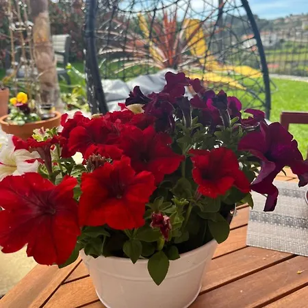 Βίλα Emiliadourohouse Marco de Canavezes