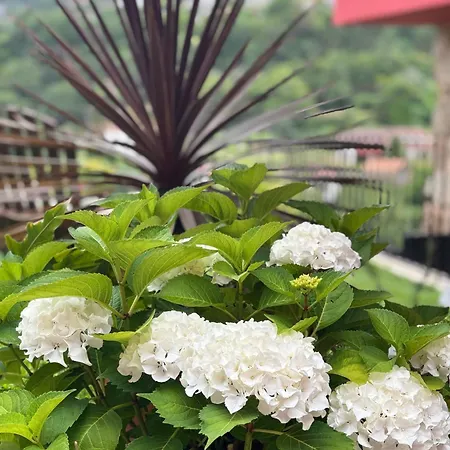 빌라 Emiliadourohouse *