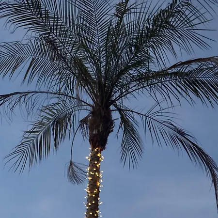 Emiliadourohouse Marco de Canavezes