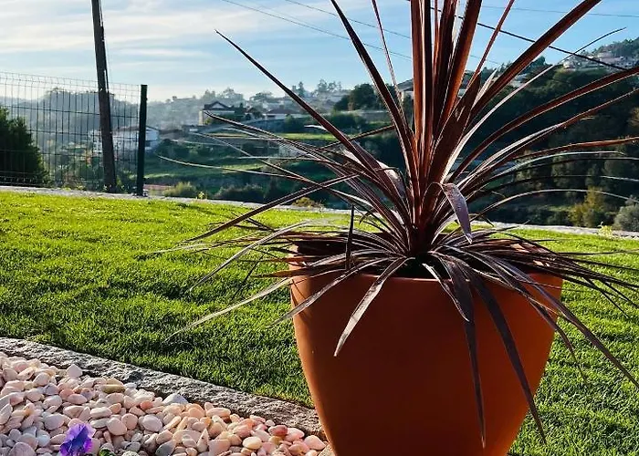 Villa Emiliadourohouse Marco de Canavezes