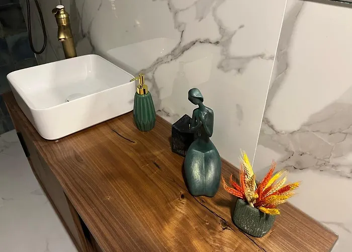 Villa Emiliadourohouse Marco de Canavezes