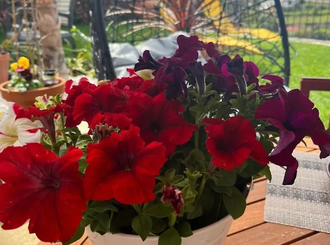 Villa Emiliadourohouse Marco de Canavezes