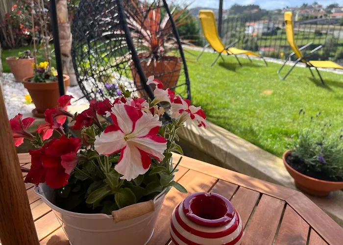 Villa Emiliadourohouse Marco de Canavezes