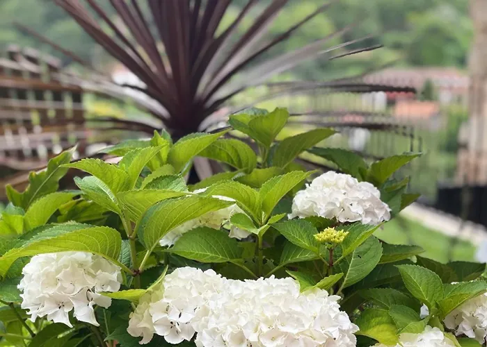 Villa Emiliadourohouse *