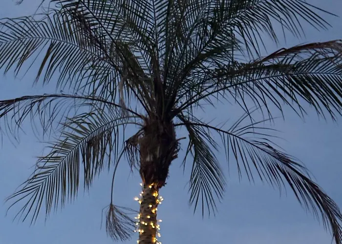 Emiliadourohouse Marco de Canavezes